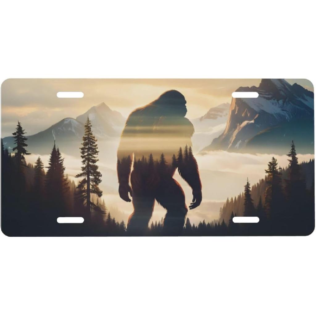 Boho Sunset Front License Plate for Women Car Vanity Plates Decorative Aluminum Metal Cute Novelty License Plate Cover for Men 6x12 Inch (4 Holes)