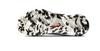 Sertig II Low Women [Mammut] 3030-04310