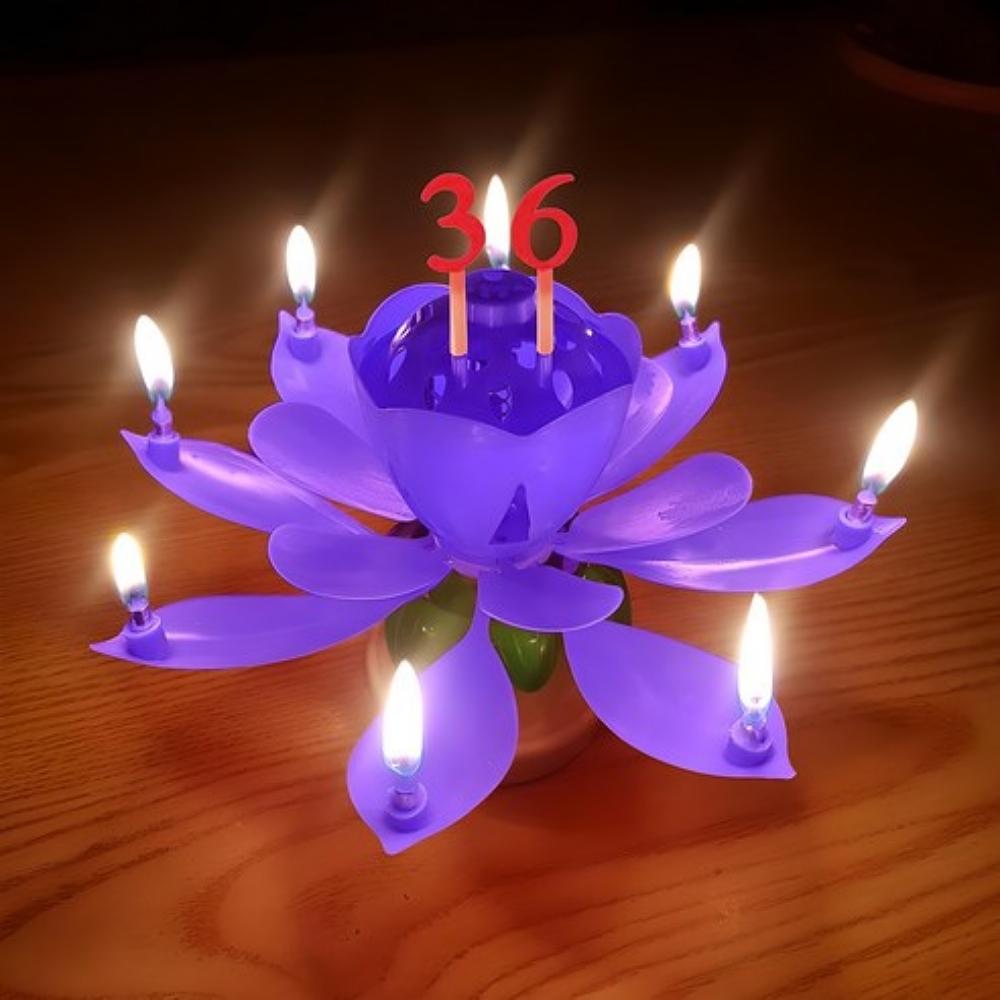 STOLIVING Birthday Lotus Melody Candle with Number Toppers 19-Piece Party Set