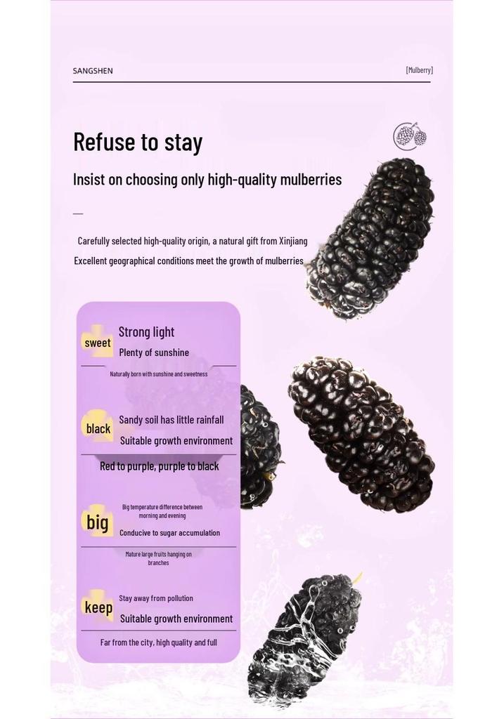 North Tongnei Ting Shangyong 220g Wash-Free Dried Mulberry Tea - No Fumigation, No Boiling Needed, Genuine Product