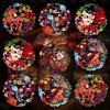 10pcs Cartoon New Year Blessings Window Sticker Chinese New Year Door Stickers  Window Decoration