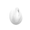 Type C Wireless Vertical Mouse 2.4G Ergonomic Mouse 4800DPI Mouse Bluetooth-compatible Optically Mouse for PC Computer