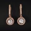 2026 New Arrival Trendy Halo Rose Gold Silver Color Korean Earrings Fashion Jewelry for Women Free Items Gift E5608