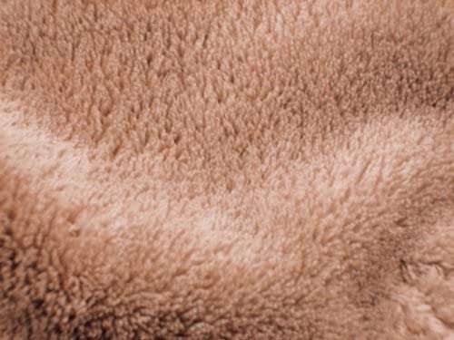 Firstlux Pet Suite Chocolate Medium Hard Pet Carrier for Outdoor Use and Disaster Preparedness