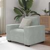 VidaXL Armchair Light Grey 60 Cm Velvet, Single Sofa, Comfort Sofa, TV Armchair, Sofa, Sofa Seat, Recliner Sofa, 4105098
