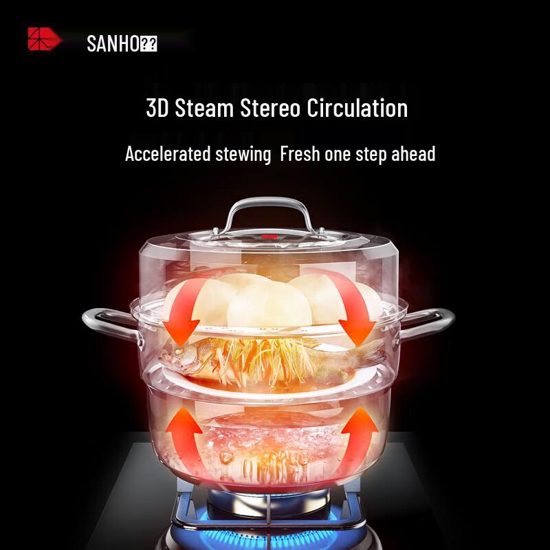 Sanhe 3-Lagen 304 Edelstahl Dampfgarer mit Sichtdeckel, 28cm