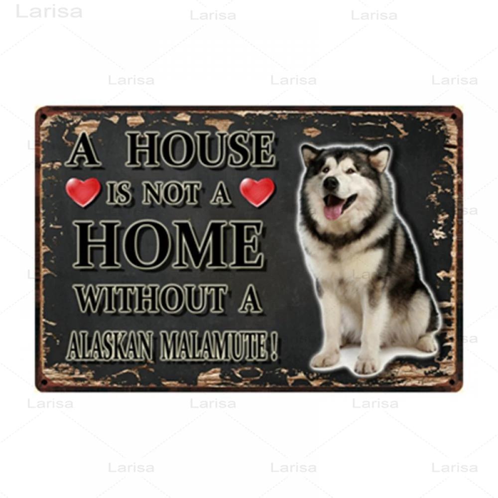 Pets Animal Dog Metal Poster Pitbull Bulldog Chihuahua Tin Sign Vintage Plate Home Decor Bar Pet Shop Wall Art Metal Painting