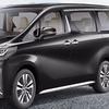 For Toyota Alphard 30 Series 2016- ABS Carbonfiber  Car Side Door Body Molding Anti-scratch Protector Side Strip Accessories