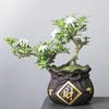Creative And Personalized Purple Sand Flower Pot Ceramic Xiaolaozhuang Meat Meat Peach Egg Plant Bonsai Potted Plant Calamus Wenzhu Chinese Style