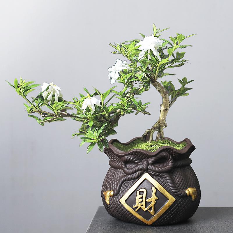 Creative And Personalized Purple Sand Flower Pot Ceramic Xiaolaozhuang Meat Meat Peach Egg Plant Bonsai Potted Plant Calamus Wenzhu Chinese Style
