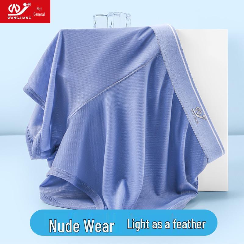 Pánské letní ledové hedvábné síťované A-střihové spánkové slipy - Prodyšné a sexy