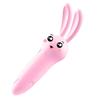 Long Love Mini Rabbit Vibrator Massager for Women