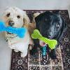 1set Pet Chew Toy Soft Rubber Bite-resistance Bone Shape Teeth Grinding Chewing Toys for Small Dogs Training Pet Supplies