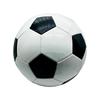 SHXI Size 5 Machine-Stitched Soccer Ball, Classic Edition