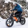 Elektrofahrrad Avdl A50 250W Motor Doppelscheibenbremsen 7 Gänge 20" Fat Tire Erwachsenen Elektro-Mountainbike 48V 15,6Ah Max. Last 150 kg