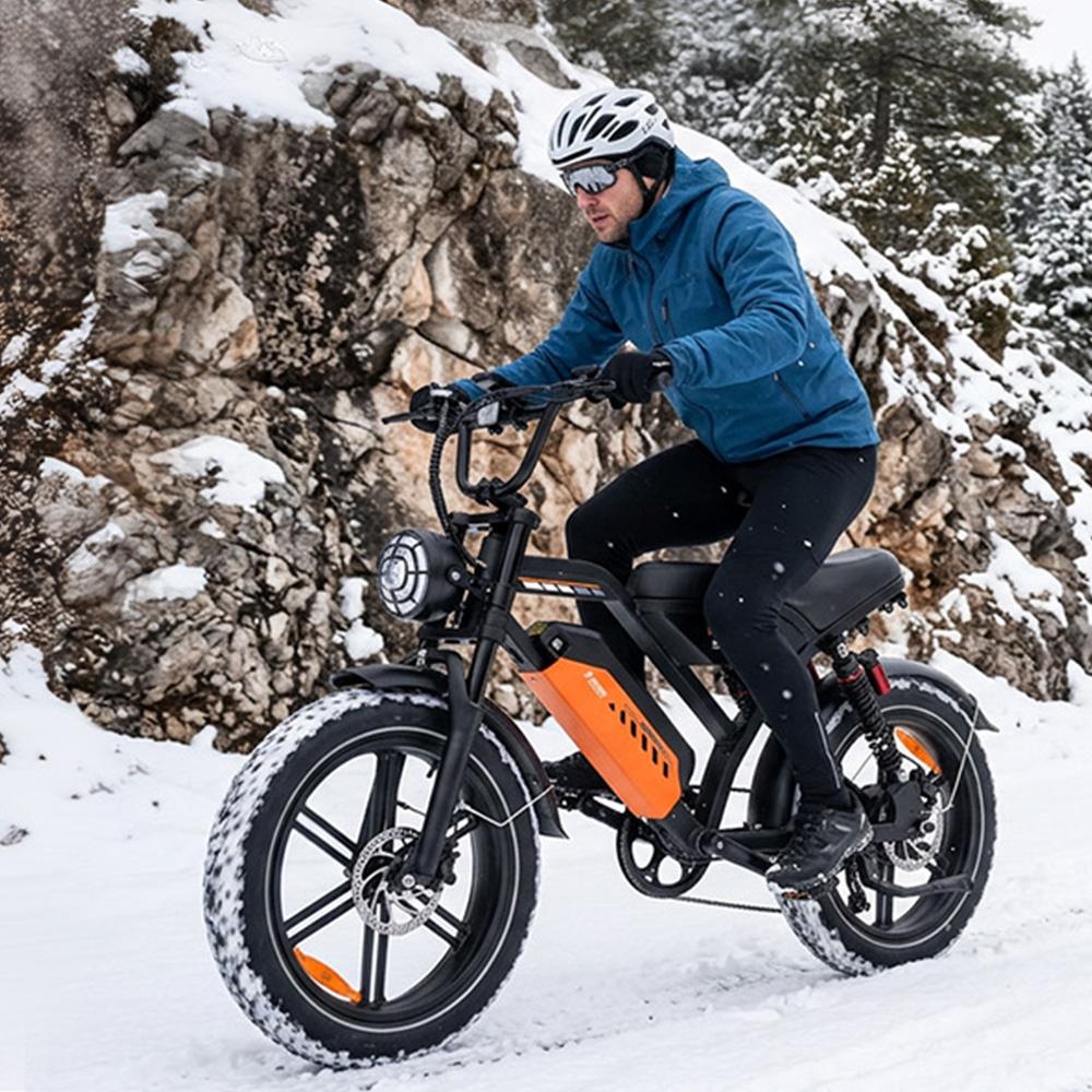 Elektrofahrrad Avdl A50 250W Motor Doppelscheibenbremsen 7 Gänge 20" Fat Tire Erwachsenen Elektro-Mountainbike 48V 15,6Ah Max. Last 150 kg