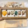 Natürliches Muschel-Schneckenhaus-Set Kinder Bastelmaterial-Packung Haus DIY Dekoration Fotorahmen Dekoration Strandbasteln