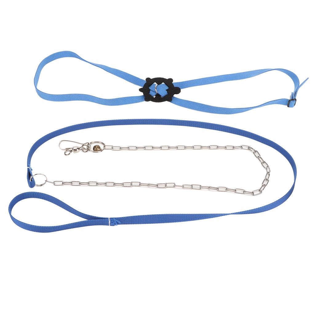 Schildkröten Geschirr Leine Verstellbar Hautfreundlich Haustier Geschirr Reptilien Leine für Draußen Schwarz L