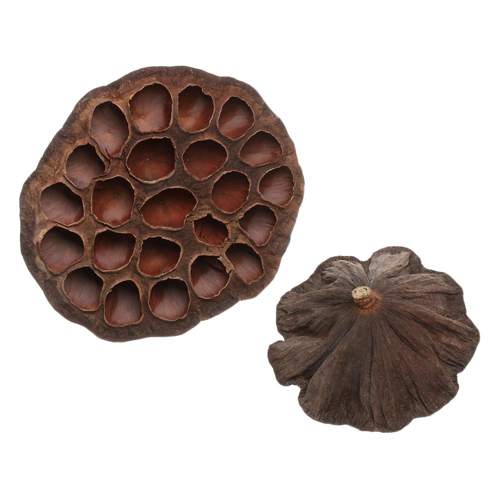 Naturalna Emulacja Biuro Dekoracje Domowe Suszony Lotos Prasowane Kwiaty Brązowy Kwiat Lotosu