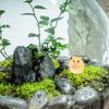 Happyyami Miniature Hamster Figurines, Set of 12, Resin Sculpture, Small Garden Decoration, for Small Animal Cages, Plant Pot Ornaments, Cute