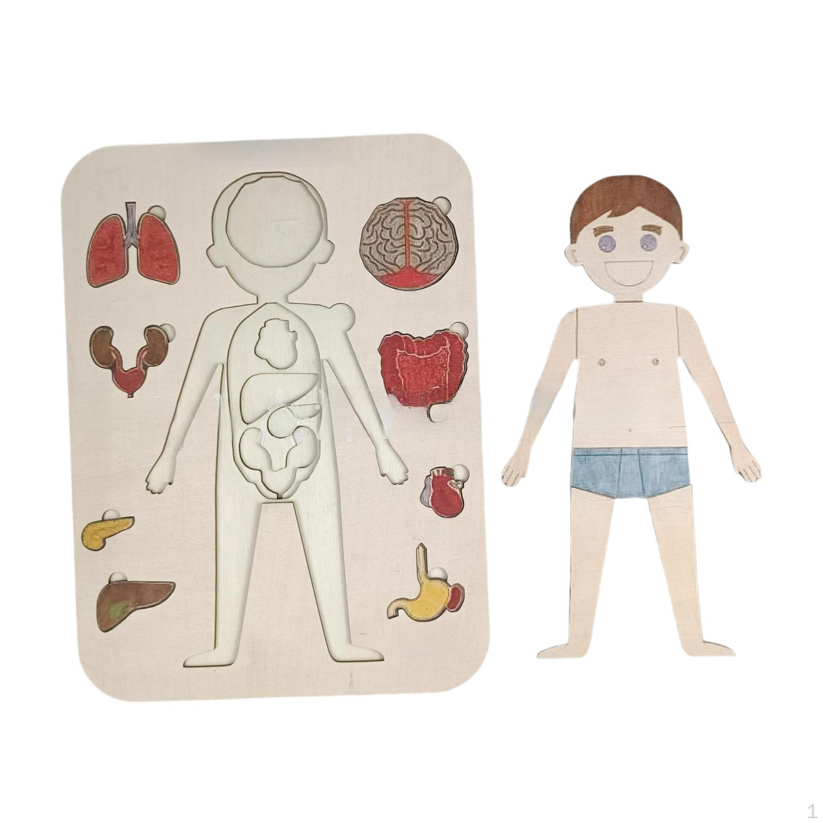 

Wooden Body Puzzle for Kids Boys Girls Early Educational Teaching Tool Play Set Learning