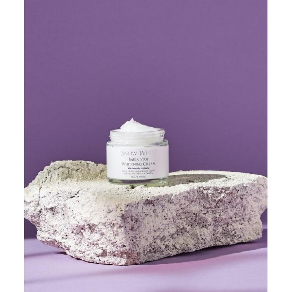 Beauty Recipe Snow White Melastop Whitening Cream 80ml none