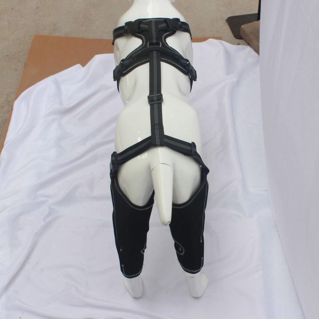 Adjustable Dog Legs Brace Prevents Wounds and Provide Warmth for Recovery Against Licking Assists In Healing Brace