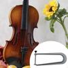 Bragas of A Violin Beam