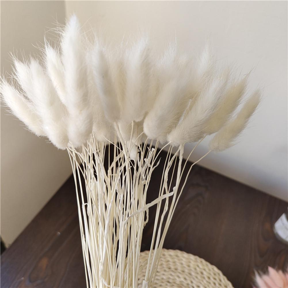 30 ks Barevné Králičí Ocasy Sušené Květiny Literární Styl Květinová Aranžmá Přírodní Kytice Králičích Ocasů Pro Večírek Domácí Dekoraci