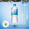 Asahi Beverages Delicious Water Fuji 600ml X 24 Bottles Mt.
