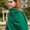 Wool Scarf Korean Atmosphere Cashmere Scarf Women's Autumn and Winter High Quality Versatile New Solid Color Scarf