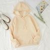 European & American Women's Autumn/Winter Plus Velvet Hooded Sweatshirt