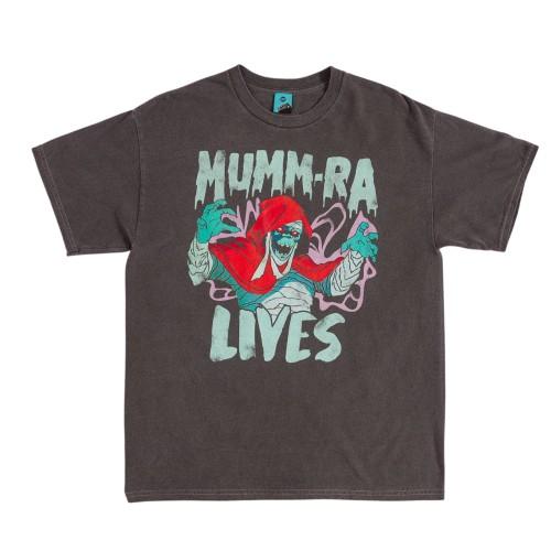 Thundercats Unisex Adult Mumm-Ra Lives Vintage Wash T-Shirt