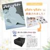 In ALEBANA Car Storage Seat Passenger Seat Luggage Lumbar Luggage and Bag Storage [Featured Anan] Box, Storage, Cushion,