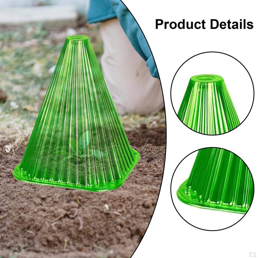 Frost Protection Solutions with Reusable Garden Cloches for Plants