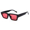 New Fashion Small Square Sunglasses UV400 Protection for Men Women Outdoor Driving