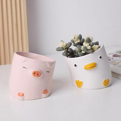 Simpatico cartone animato animale vaso da fiori desktop balcone piantagione di piante grasse decorazione vaso di fiori vaso in ceramica storto creativo con anatra e maiale