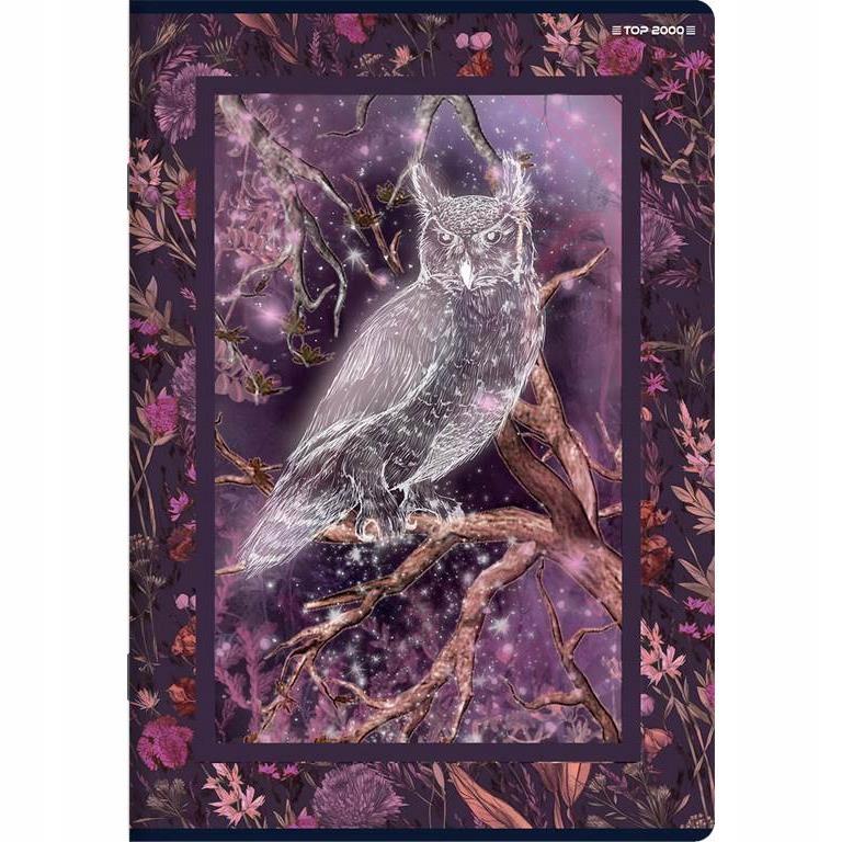 ZESZYT A5/60K LINIA FAIRYTALE 400182441 A'10