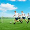 Football Goal Soccer Cage, 301 X 120 X 200 Cm, Epoxy-Coated Metal Frame, PE Netting, White