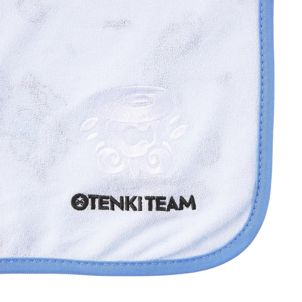 Pokemon Cooling Blanket OTENKI TEAM Yukifurashi Japan NEW
