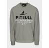 PITBULL SURFING DOG Hoodie