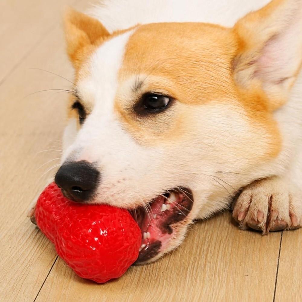 Textured Surface Peanut Dog Chew Toy Tpr Teething Chew Toy Squeaky Dog Toy Daily Dog Play
