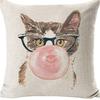 Kitten Gift Pillowcase Cute Pet Printed Linen Pillow Cushion Cover Bedside Living Room