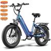 Bicicletă Electrică Fafrees F20 Rover 20" Motor 250W 48V 20AH Frâne Duble pe Disc Hidraulice Viteză Maximă 25km/h Display LCD 7 Viteze Sarcina Maximă 150Kg