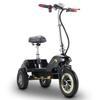 Twofish TF03 Driewielige Elektrische Scooter 500W Motor 48V15Ah Batterij 28km/h Max Snelheid 30km Max Bereik