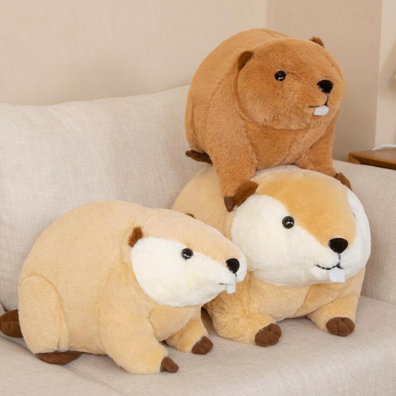 

45/60cm Cute And Charming Beaver rat Plush Guinea Pig Playthings Cartoon Animal Stuffed Toy Dolls Birth Date Xmas Present 45cm темно-коричневого