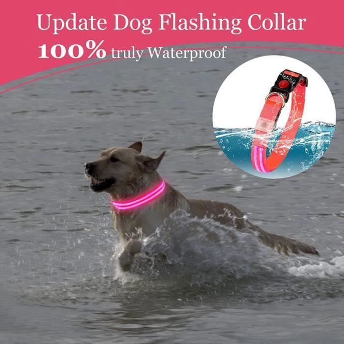 Dog Collar - MELERIO - Size S - Waterproof - Rechargeable - Super Bright