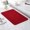 Absorbent Non-Slip Bathroom Door Mat