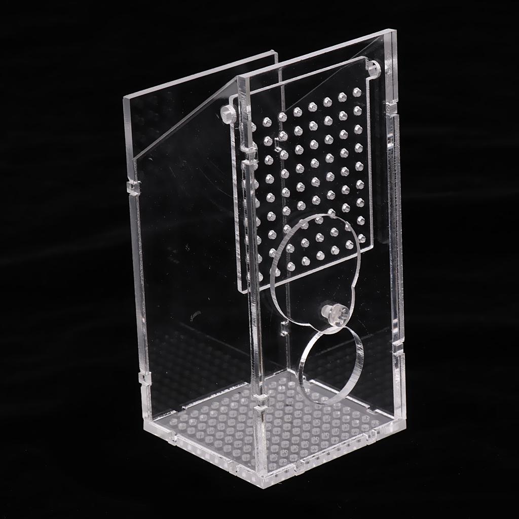 Buy Aquarium Fish Trap Crabs Catcher Aquatics Pest Bait Box Clear at ...