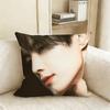 Nick He Yu Jin Chao Various Sizes Square Pillow Case For Car Home Bedchamber Decor
